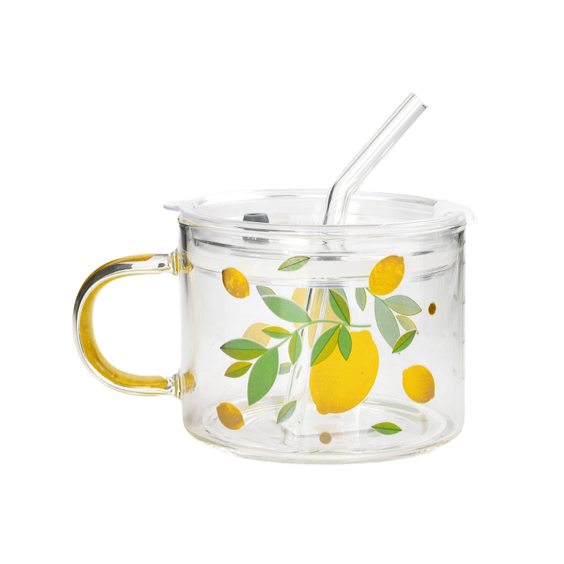 Round Glass Cup with Plastic Lid and Glass Straw and Handle 0.5L (59-2788)